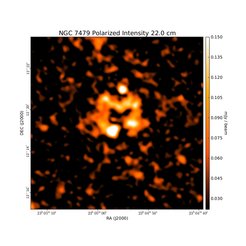 Polarized Intensity at 22.0 cm (1.36 GHz), VLA, Resolution 20'', Beck et al. 2002