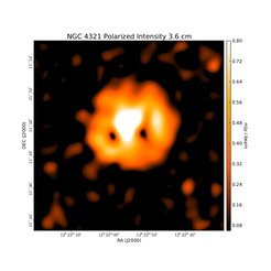 Polarized Intensity at 3.6 cm (8.35 GHz), Effelsberg, Resolution 90", Weżgowiec et al. 2012