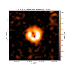 Polarized Intensity at 3.6 cm (8.35 GHz), Effelsberg, Resolution 90", Weżgowiec et al. 2012