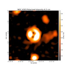 Polarized Intensity at 6.2 cm (4.85 GHz), Effelsberg, Resolution 150", Weżgowiec et al. 2012