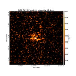 Polarized Intensity at 19.8 cm (1.51 GHz), VLA, Resolution 20", Reuter et al.1991