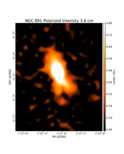 Polarized Intensity at 3.6 cm (8.35 GHz), Effelsberg, Resolution 84", Krause 2009